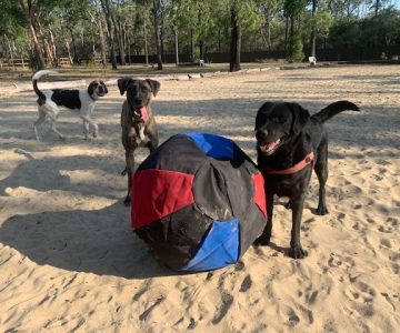 hddc_mini_slider_2-min