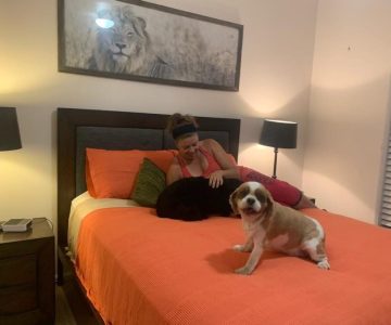 hddc_mini_slider_3-min