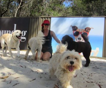 hddc_mini_slider_4-min