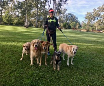 hddc_mini_slider_7-min